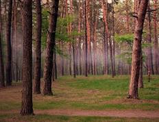 世俱杯直播-引擎的轰鸣与后撤步三分，高压下的胜负手