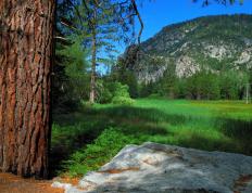 世俱杯奖金-那一夜，姆巴佩的星光为谁而亮？记欧冠半决赛制胜时刻