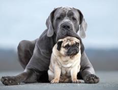 世俱杯参赛资格-体育周末双响炮，新疆队击溃吉林队，小贾伦F1揭幕战接管比赛