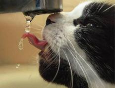 世俱杯2025-当全场聚焦于光芒万丈的超级明星，那个在阴影中搏动的心脏，才是决定生死的关键