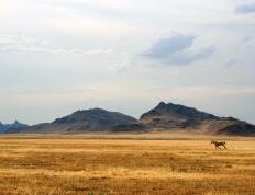 世俱杯分组-史上最冷血空袭！塔图姆致命一投，吉林队逆天终结湖人王朝