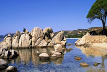 世俱杯-尤文收割雷恩启示录，德里赫特凭何在意甲焦点战接管比赛