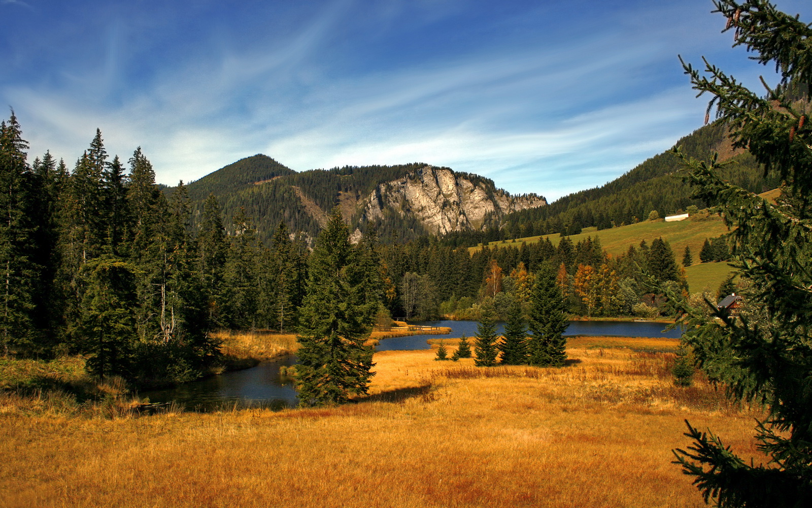 世俱杯改制-闪电刺破铁幕！萨内加时绝杀助尼斯掀翻德国战车