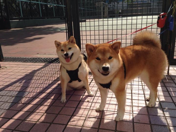 世俱杯参赛资格-双城记,当英超争冠聚焦曼彻斯特,巴黎正被中东乱局收割