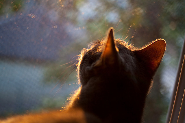 世俱杯-若日尼奥压制级发挥引领中场革命,芬兰黑马奇迹般粉碎勒沃库森不败神话