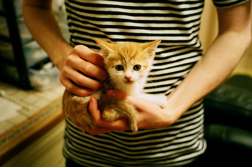 世俱杯2025-国王险胜灰熊！末节18分 克莱化身关键先生拯救萨城