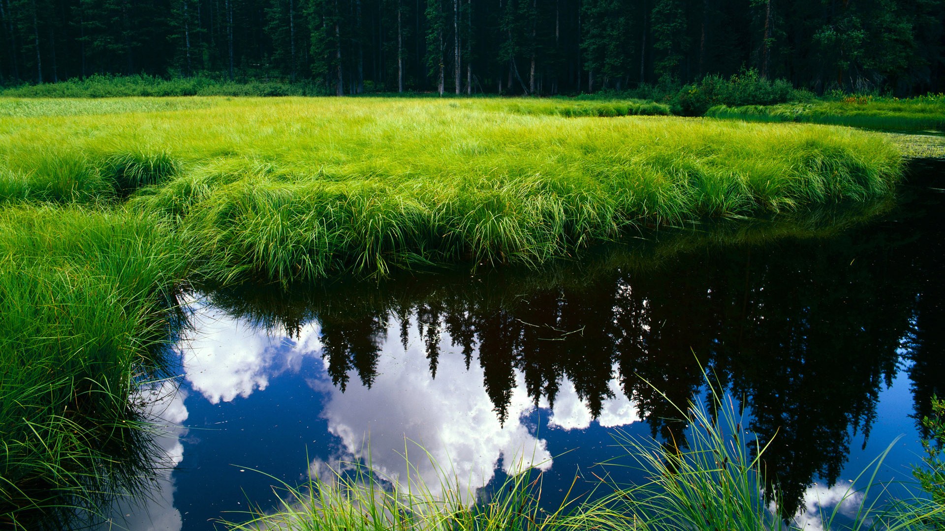 世俱杯决赛-米切尔轰下45分横扫波士顿，尼克斯主场沦陷！凯尔特人迎来最大危机？