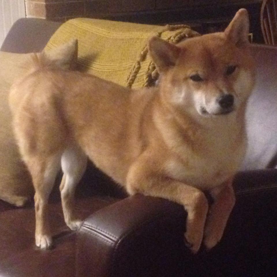 世俱杯改制-当萨拉赫在伦敦碗遇见几内亚曼联，一场虚构慈善赛背后的真实非洲足球启示