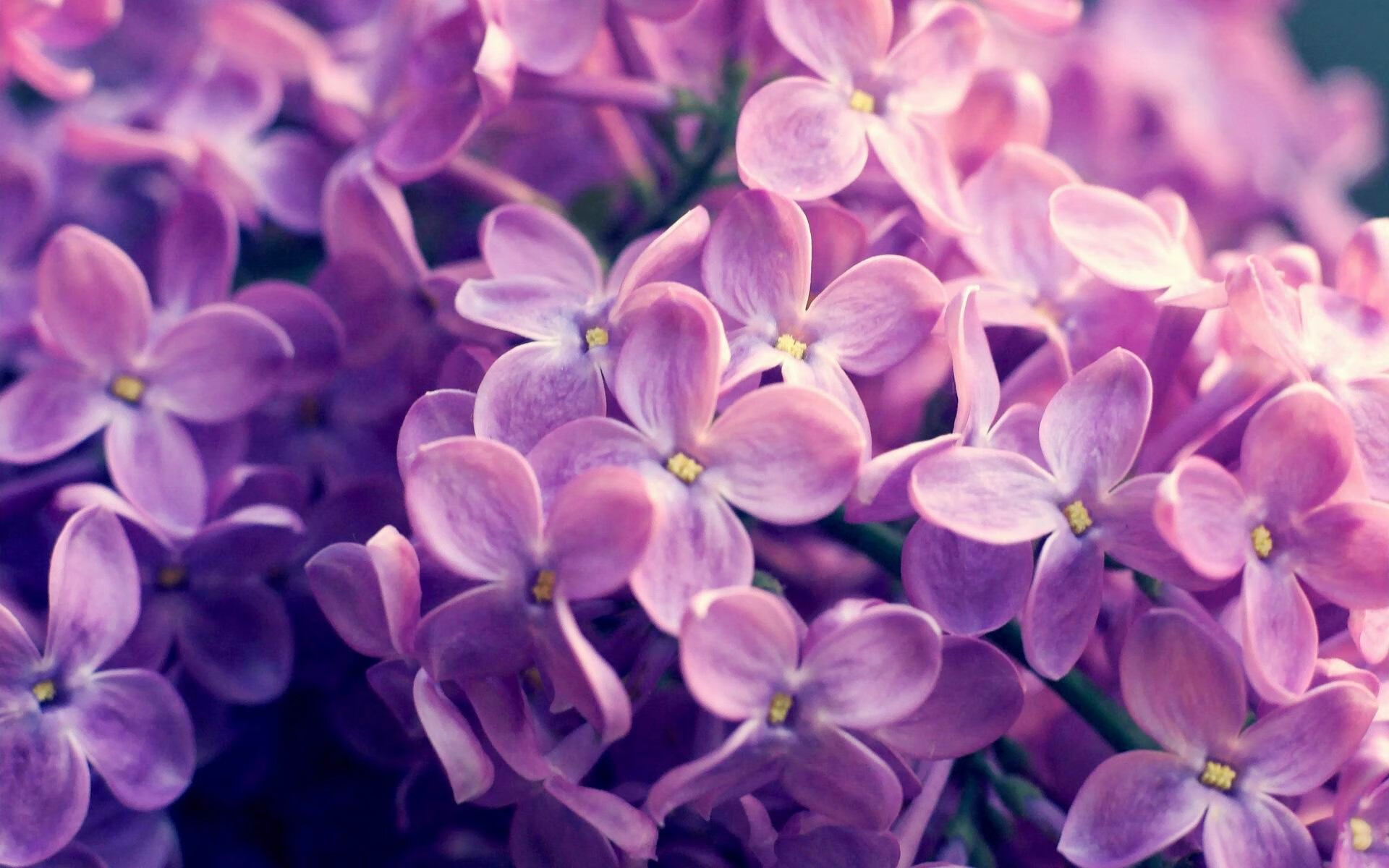 世俱杯改制-不眠之夜的对望，曼城与利拉德的共时传奇