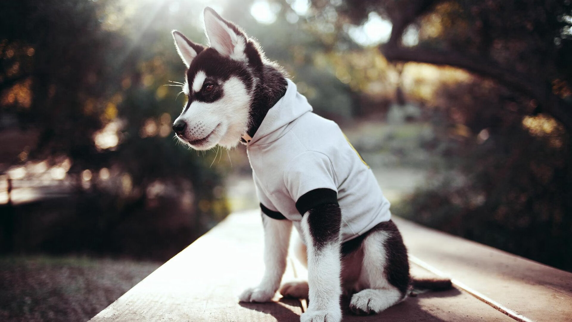 世俱杯分组-冷锋出鞘,伊萨克抢七之夜刺破天际