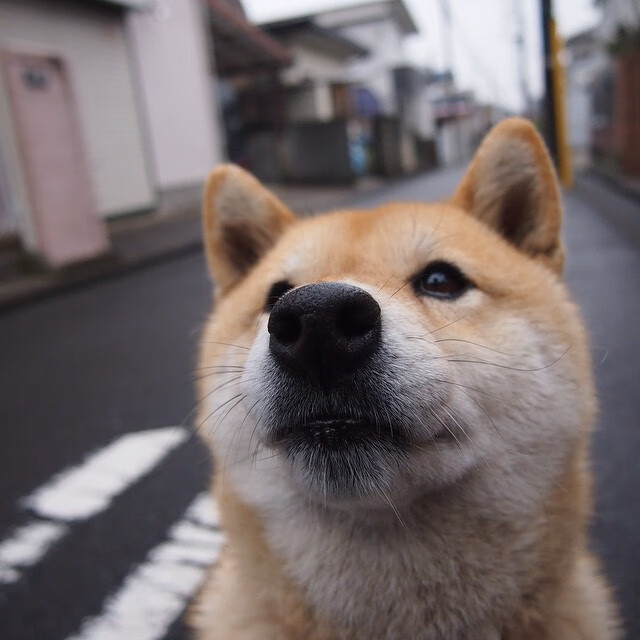 世俱杯赛程-西决生死战之夜，杰伦·格林的自我救赎