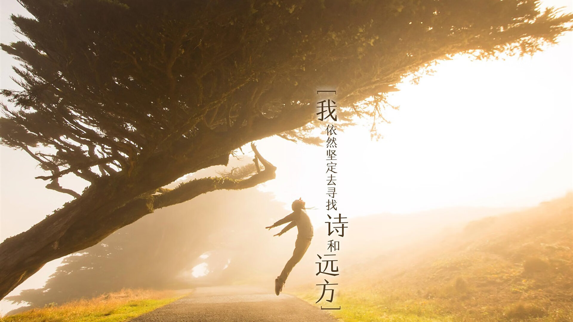 世俱杯参赛资格-致命一击，阿诺德绝杀韩国，葡萄牙昂首挺进2026世界杯