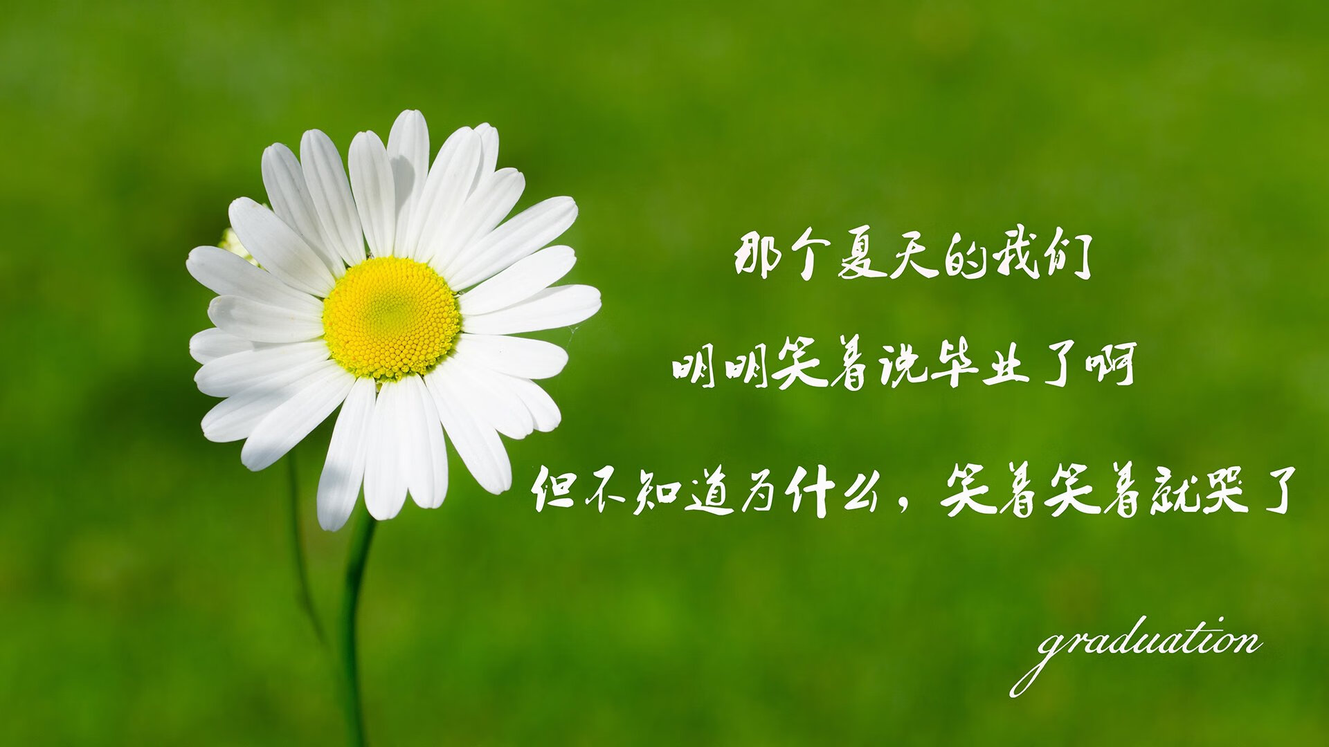 世俱杯赛程-黑马狂奔，努涅斯主导生死战，厄瓜多尔逆袭罗马尼亚挺进八强